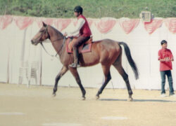 sportsday_1
